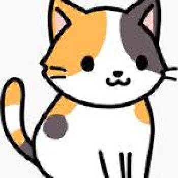 Eira (Holland Cat Cove) -  Domestic Short Hair Cat for Adoption in West Olive, Michigan - Eira (Holland Cat Cove) | PetCurious