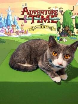 FIONNA -  Domestic Short Hair Cat for Adoption in Jacksonville, Florida - FIONNA | PetCurious
