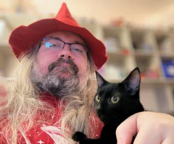 Rescue Bombay and Domestic Short Hair Cats for Adoption in Pearland, Texas - Licorice | PetCurious