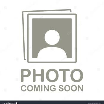 Rescue Domestic Short Hair Cats for Adoption in Jasper, Indiana - Zoey | PetCurious