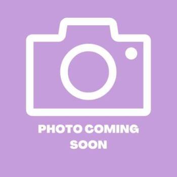 Kit 4 -  Domestic Medium Hair Cat for Adoption in El Paso, Texas - Kit 4 | PetCurious