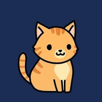 Tornado -  Domestic Short Hair Cat for Adoption in West Olive, Michigan - Tornado | PetCurious