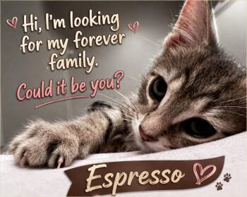 Espresso-I