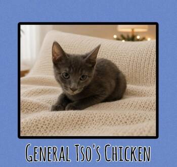 General Tso