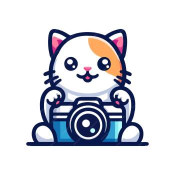 Domestic Short Hair Cats Available for Adoption - Salsa [Spicy Kitty] | PetCurious