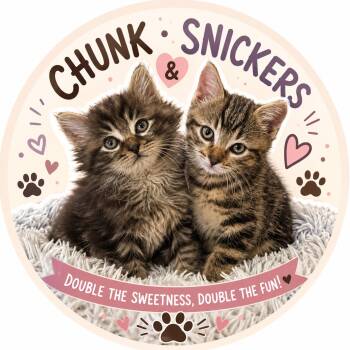 CHUNK & SNICKERS -  Domestic Medium Hair and Maine Coon Cat Available for Adoption in Lakesite, Tennessee - CHUNK & SNICKERS | PetCurious
