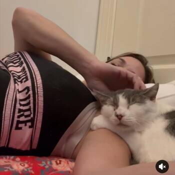 Rescue Domestic Short Hair Cats for Adoption in Wanaque, New Jersey - Sweetie | PetCurious