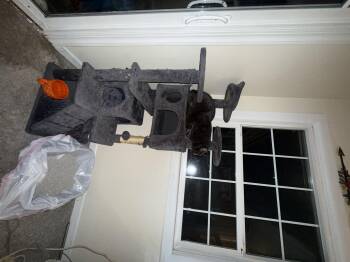 Rescue American Shorthair Cats for Adoption in Klamath Falls, Oregon - Hulk | PetCurious