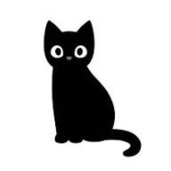 Teeter Totter -  Domestic Short Hair Cat for Adoption in West Olive, Michigan - Teeter Totter | PetCurious