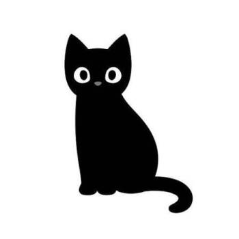 Riverina -  Domestic Medium Hair Cat for Adoption in West Olive, Michigan - Riverina | PetCurious