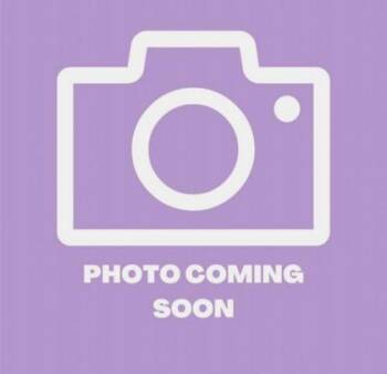 61162385 -  Domestic Medium Hair Cat for Adoption in El Paso, Texas - 61162385 | PetCurious