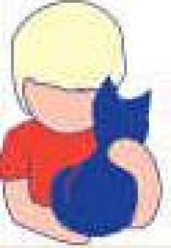 Abyssinian Cats Available for Adoption in Washington Township, New Jersey - Test NJ689 | PetCurious