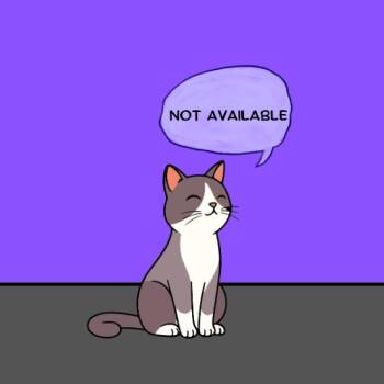 Peter -  Domestic Short Hair Cat for Adoption in Franklin, North Carolina - Peter | PetCurious