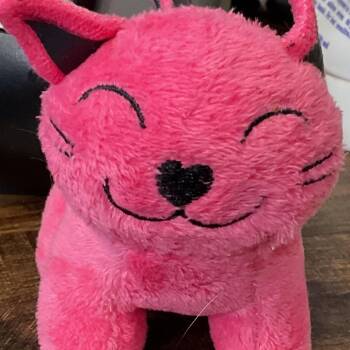 Lizzie -  Domestic Short Hair Cat Available for Adoption in Columbus, North Carolina - Lizzie | PetCurious