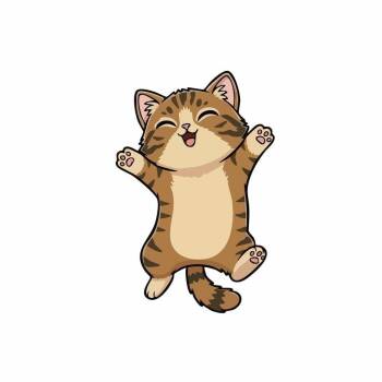 Grumpy (Holland Cat Cove) -  Domestic Short Hair Cat for Adoption in West Olive, Michigan - Grumpy (Holland Cat Cove) | PetCurious