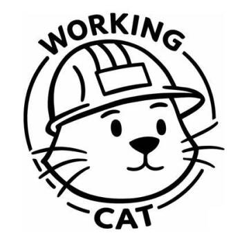 Peri-Peri -  Domestic Short Hair Cat for Adoption in Vero Beach, Florida - Peri-Peri | PetCurious