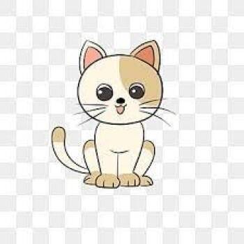 Fun Size -  Domestic Short Hair Cat for Adoption in South Haven, Michigan - Fun Size | PetCurious
