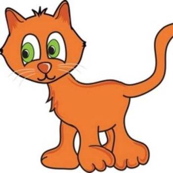 Teresa -  Domestic Short Hair Cat for Adoption in West Olive, Michigan - Teresa | PetCurious