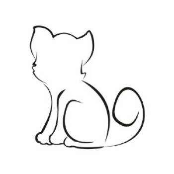 Rescue Domestic Short Hair Cats for Adoption in Wichita, Kansas - Lychee | PetCurious
