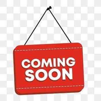 Rescue Mixed Breed Dogs for Adoption in Quincy, Florida - Nessa Rose | PetCurious