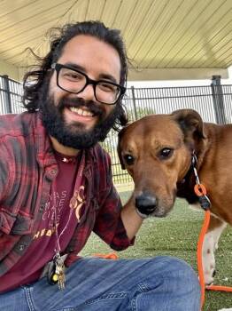 Turbo -  Mixed Breed Dog for Adoption in Wichita, Kansas - Turbo | PetCurious