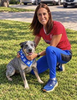 Morgan Wallen -  Australian Cattle Dog Blue Heeler Dog for Adoption in Euless, Texas - Morgan Wallen | PetCurious