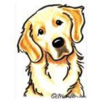 Golden Retriever Dogs Available for Adoption in Bath, Ohio - Lucy | PetCurious