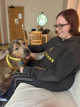 Mixed Breed Dogs Available for Adoption in Chamblee, Georgia - Henny | PetCurious