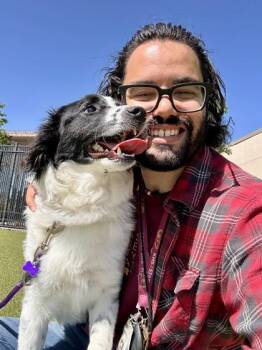 Mixed Breed Dogs Available for Adoption in Wichita, Kansas - Stomp | PetCurious