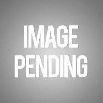 Rescue American Foxhound Dogs for Adoption in Ashland, Virginia - Flighty | PetCurious