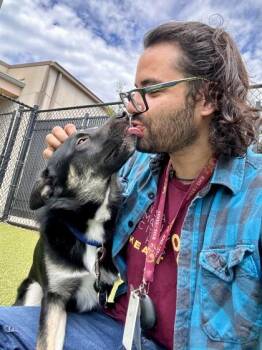 Eustace -  Mixed Breed Dog for Adoption in Wichita, Kansas - Eustace | PetCurious
