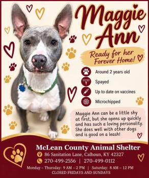 Maggie Ann -  Mixed Breed Dog for Adoption in Calhoun, Kentucky - Maggie Ann | PetCurious