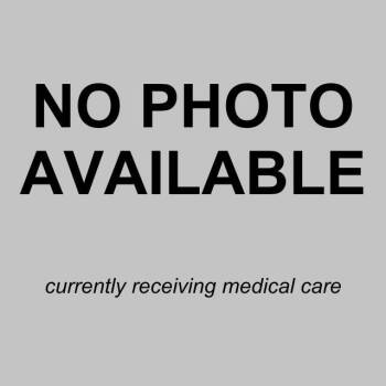 PANCHITO -  Terrier Dog for Adoption in San Antonio, Texas - PANCHITO | PetCurious