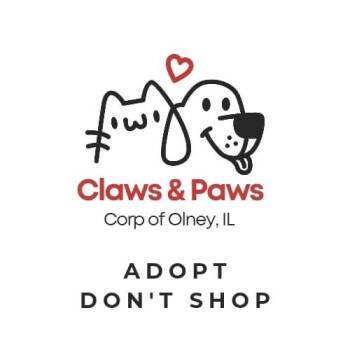 Plott Hound Dogs Available for Adoption - Diogi Mcoy (Dobie) | PetCurious