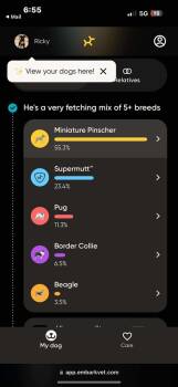 Rescue Miniature Pinscher Dogs for Adoption in Mcminnville, Tennessee - Ricky | PetCurious