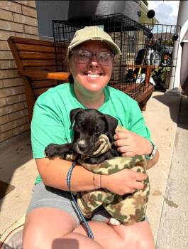 Mixed Breed Dogs Available for Adoption in Lutz, Florida - Karter | PetCurious