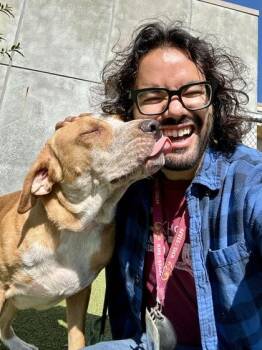 Hamlet -  Mixed Breed Dog for Adoption in Wichita, Kansas - Hamlet | PetCurious