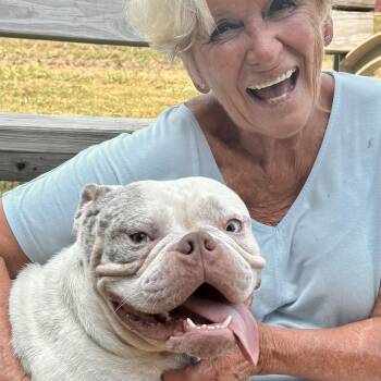 Satchmo -  Bulldog Dog for Adoption in Tunica, Mississippi - Satchmo | PetCurious