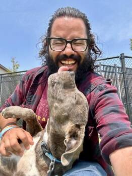 Elliot -  Mixed Breed Dog for Adoption in Wichita, Kansas - Elliot | PetCurious