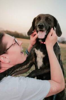 Plott Hound Dogs Available for Adoption in Muldrow, Oklahoma - Mimi | PetCurious