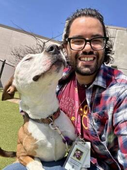 Mixed Breed Dogs Available for Adoption - Max | PetCurious