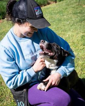 Mixed Breed Dogs Available for Adoption in Chamblee, Georgia - Classic | PetCurious