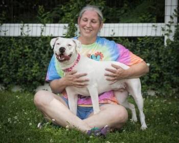 Thia -  Pit Bull Terrier Dog for Adoption in Germantown, Ohio - Thia | PetCurious