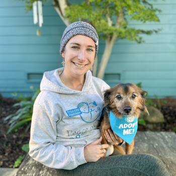 Rescue Dachshund Dogs for Adoption in Pacific Grove, California - Jorge | PetCurious