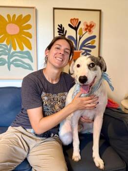 Arlo Love You So -  Australian Shepherd and Husky Dog for Adoption in Friendswood, Texas - Arlo Love You So | PetCurious