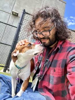 Susan Storm -  Mixed Breed Dog for Adoption in Wichita, Kansas - Susan Storm | PetCurious