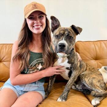 Lucky Boy Your Beach Loving Best Friend -  Pit Bull Terrier and American Staffordshire Terrier Dog for Adoption in Friendswood, Texas - Lucky Boy Your Beach Loving Best Friend | PetCurious