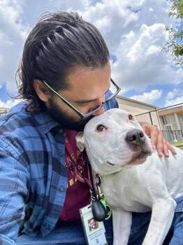 Dazzle -  Mixed Breed Dog for Adoption in Wichita, Kansas - Dazzle | PetCurious
