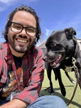 Mixed Breed Dogs Available for Adoption - Oreo | PetCurious