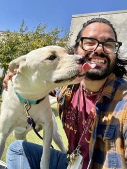 Terry -  Mixed Breed Dog for Adoption in Wichita, Kansas - Terry | PetCurious